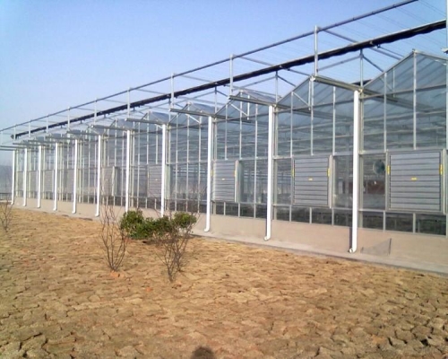 PC阳光板温室-最实惠的温室